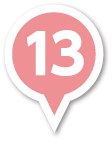 pin13