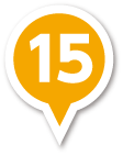 pin15