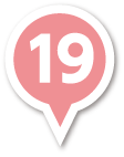 pin19