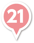pin21